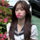 레이어드