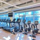 파인드짐 이미지