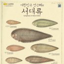 군산박대사업단