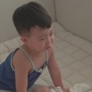 태하 MHN스포츠