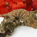 (주)인디고 이미지