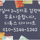 금채샵 이미지