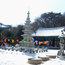 월봉사 - 1558 | 월봉사