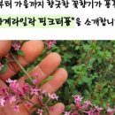 생명농장 이미지