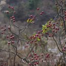 전봉준로 이미지