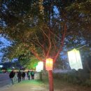 구포고가교 이미지