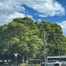 2116 | [2025 호주워홀] step 33 호주 시드니 한인정비소 추천 정직하고 신뢰가득 정비소