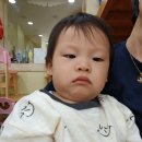 친구 사진에 하트 스티커를 붙여요, 토끼와 거북이 인형극을 보았어요 이미지