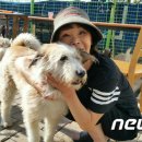 이용녀 카카오 검색결과
