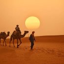 골프투어 이미지