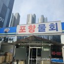 [포항물회] 안양 범계 물회맛집추천 세꼬시물회 내돈내산 솔직후기 포항시 지정 포항물회 가장 맛있는 집
