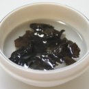 버섯잔치 Daum카페
