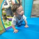 신나는🎵에어바운스 &amp; JUMPING바운서 놀이🎡 이미지