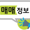 사파동119 이미지