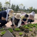 양주도담학교 이미지