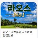 주식회사 위더스골프투어 | 라오스 여행, 믿을수 있는 업체(랜드사)를 찾고 계신가요?
