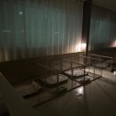 퍼피플랜 이미지