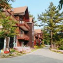 파인펜션 이미지