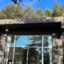 위드펫 빌리지 이미지