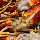 오늘은 새우회 평택점 이미지