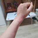 강북연합내과의원 이미지