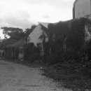 하모리-35 이미지