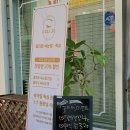안성보룡약국 이미지