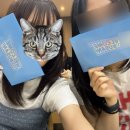 럭키버디 | 일본 버디 프로그램 1일차 후기