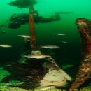 원장목장 이미지