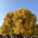 주차31 이미지