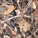 간대산 등산로 이미지