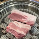 돈도야지 티스토리