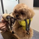 경인동물의료센터 이미지