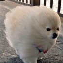 헌복농장 | [간월재] 간월재 등반 '절반'만 성공한 이야기