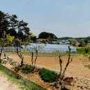 법성월산보건진료소 | 전남 영광군 법성면 월산리(월계마을후편)생산관리지역 밭 한우축사 건축물 750py)허가필되었고 현재...