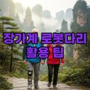 로봇과 함께하는 생활 속 인공지능 | 독박투어 장가계 로봇다리 대여, 효도 여행 필수템!