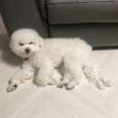 씨엔씨미앤유외과의원 이미지