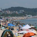 대천해수욕장 이미지