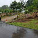 춘천상가전문공인중개사사무소 이미지