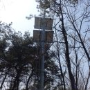 루소의숲유치원 이미지