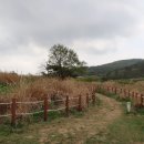 내서초등학교 이미지