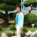 구지초등 이미지