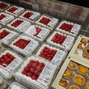 트라이플 | 코스트코 케이크 딸기 트라이플 셔틀 후기