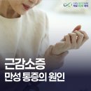 이증재 | 근손실로 인한 만성 통증, 미리 대비하는 방법 (근감소증재활운동)