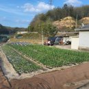 재관농장 이미지