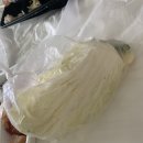 PC토랑 2호점 | 세부여행 ⑨ :: 세부 막탄 맛집, 막탄 배달 음식 (더락PC토랑, 쏘랭이카페) 후기