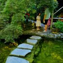 캐나다 빅토리아 여행 - 서부 가볼만한곳 대정원 부차드 가든(The Butchant Gardens)