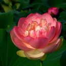 들꽃산장 이미지