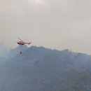 김삿갓면-45 이미지