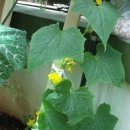 다우림어린이집 이미지